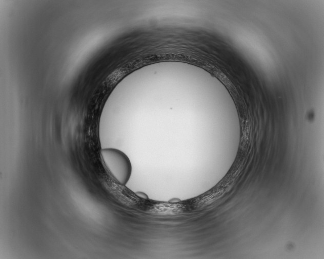 X0000101100526200806261047