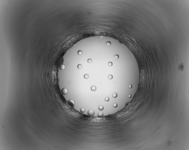 X0000101100527200806261047