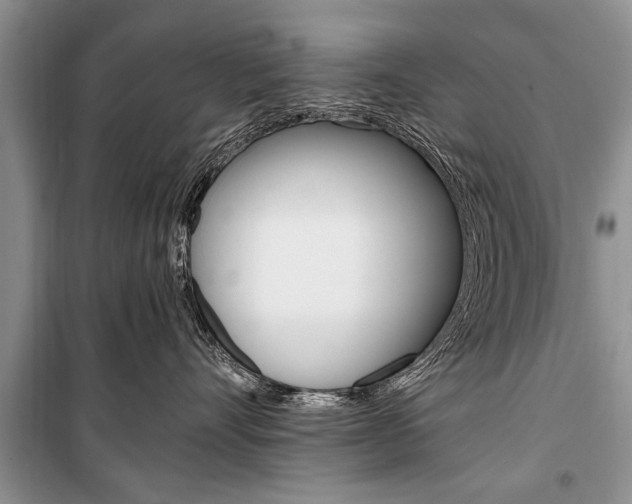 X0000101100528200806261047