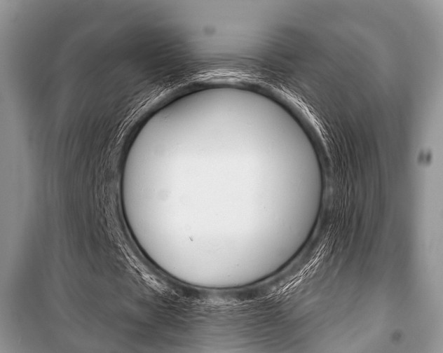 X0000101100529200806261047