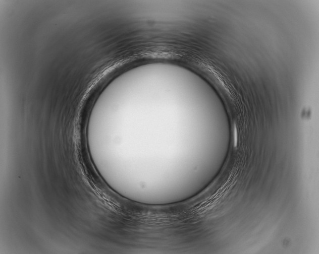 X0000101100531200806261047