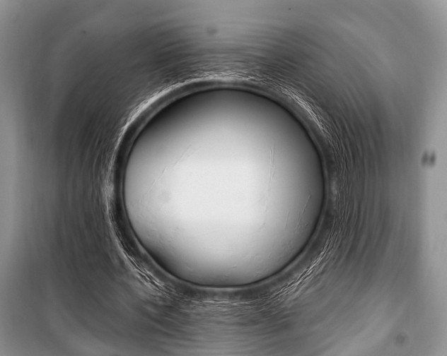 X0000101100532200806261047