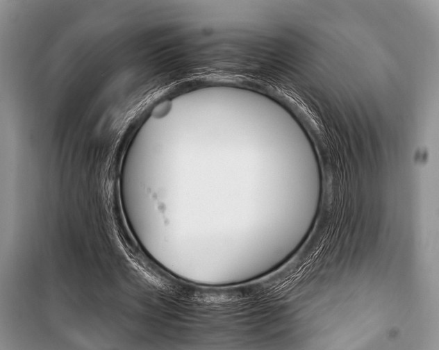 X0000101100533200806261047