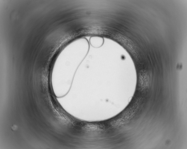 X0000101100534200806261047