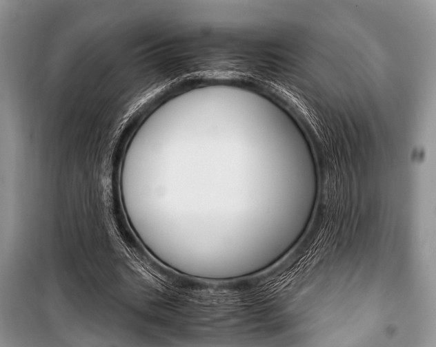 X0000101100535200806261047