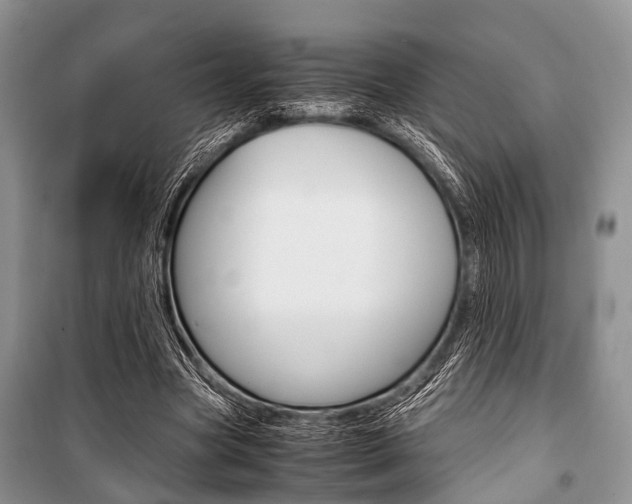 X0000101100537200806261047