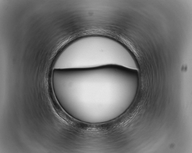 X0000101100538200806261047
