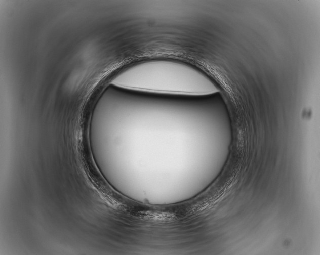 X0000101100539200806261047