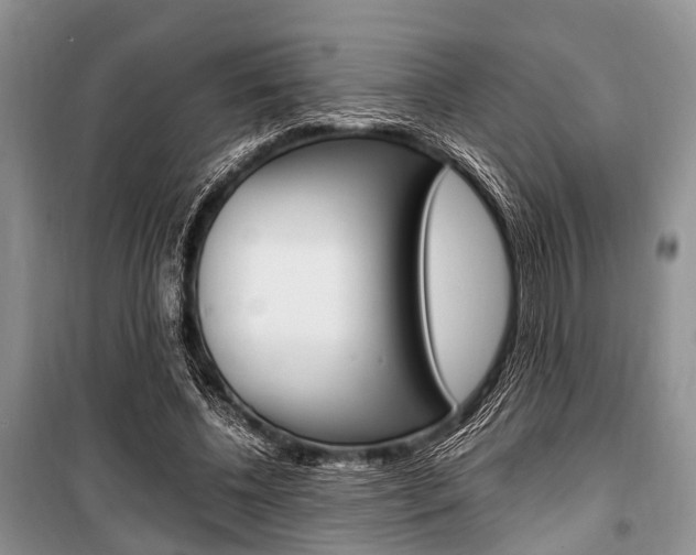 X0000101100540200806261047
