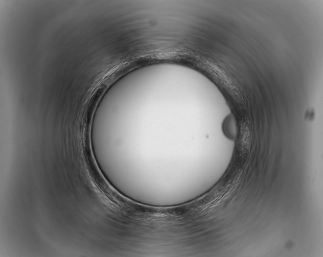 X0000101100542200806261047