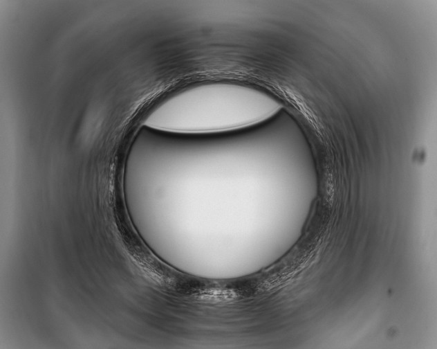X0000101100543200806261047