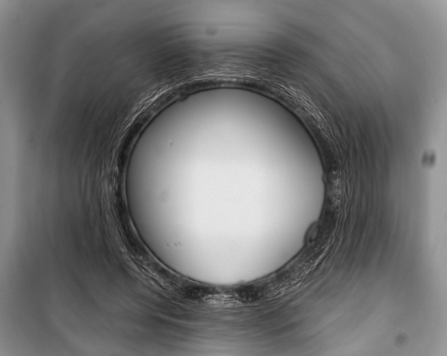 X0000101100544200806261047