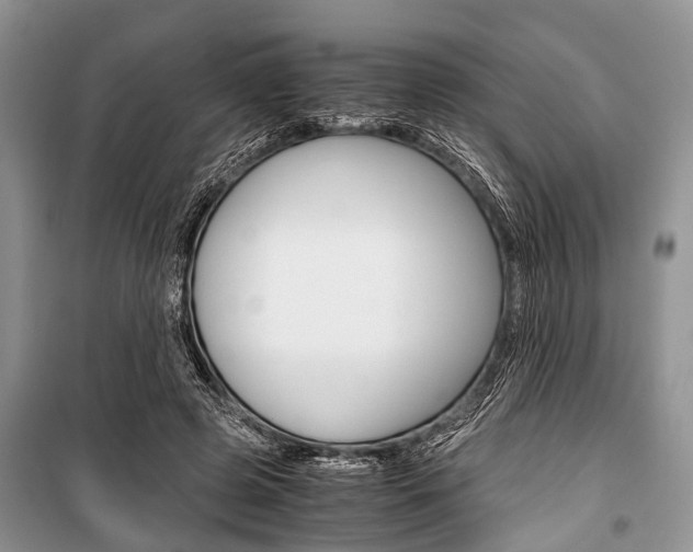 X0000101100545200806261047