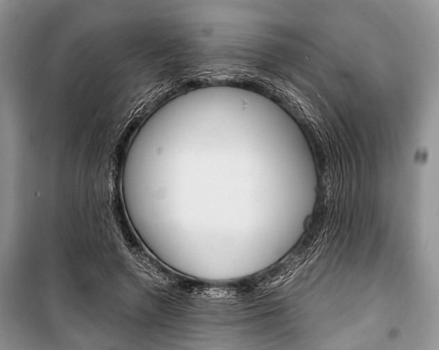 X0000101100546200806261047