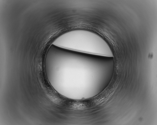 X0000101100547200806261047