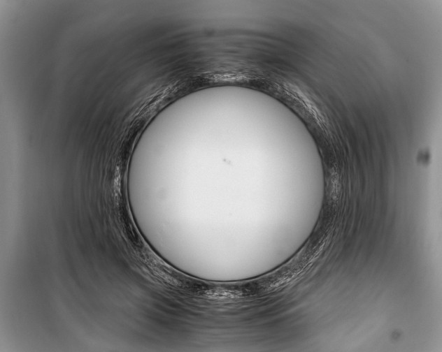 X0000101100549200806261047