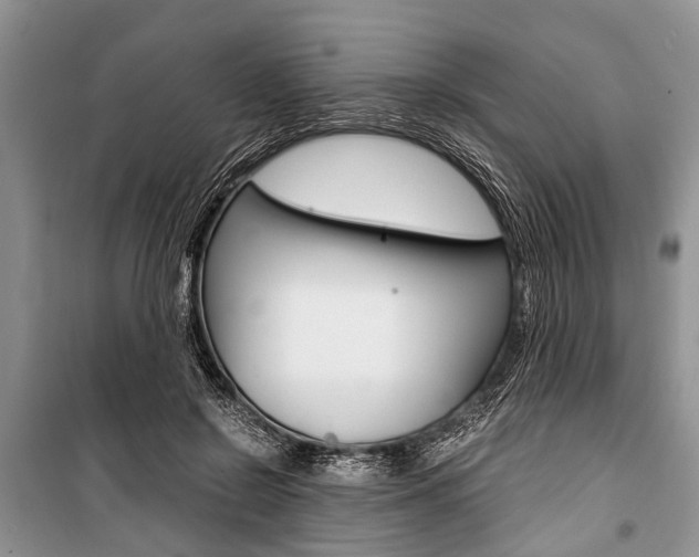 X0000101100550200806261047