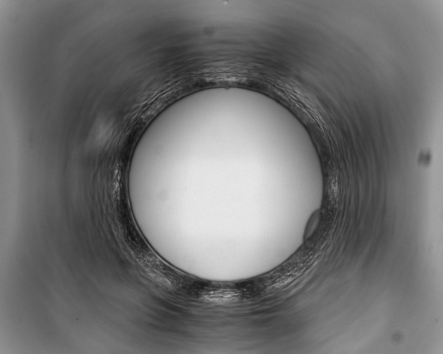 X0000101100551200806261047