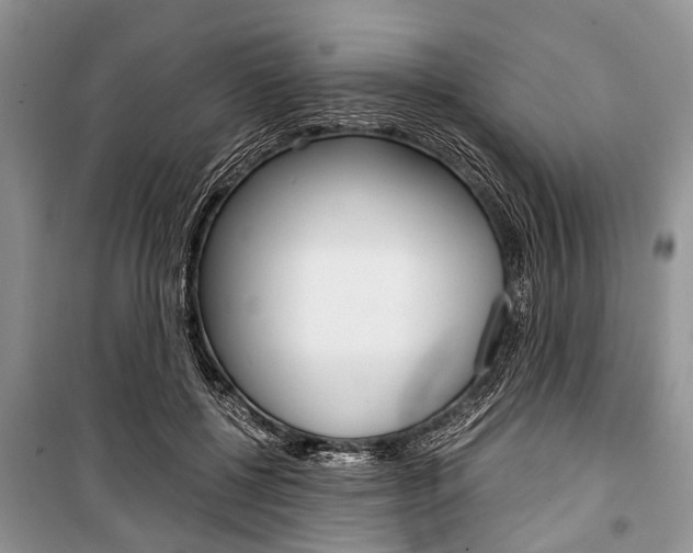 X0000101100552200806261047