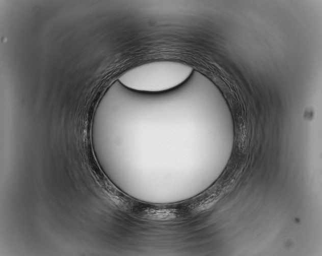 X0000101100553200806261047