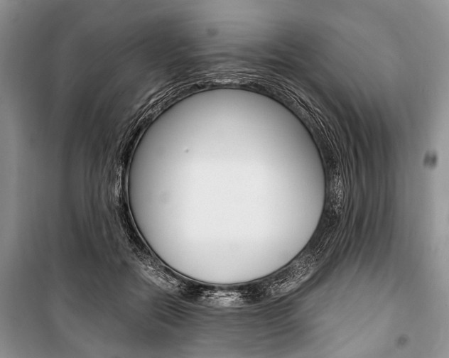 X0000101100554200806261047