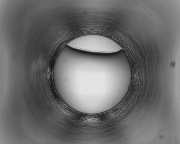 X0000101100555200806261047