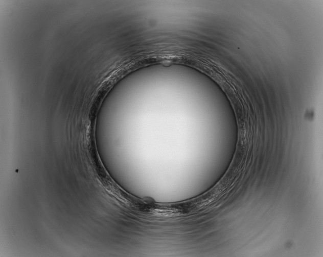 X0000101100556200806261047