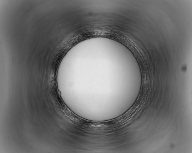 X0000101100557200806261047