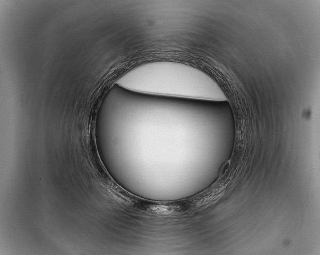 X0000101100558200806261047