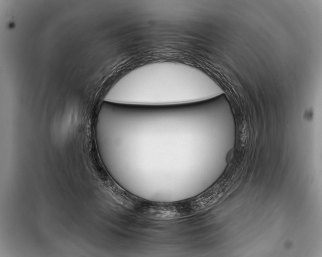 X0000101100559200806261047