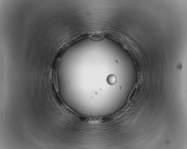 X0000101100560200806261047