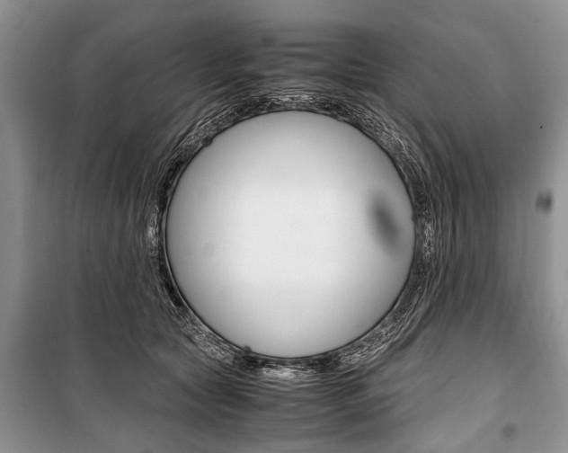 X0000101100561200806261047