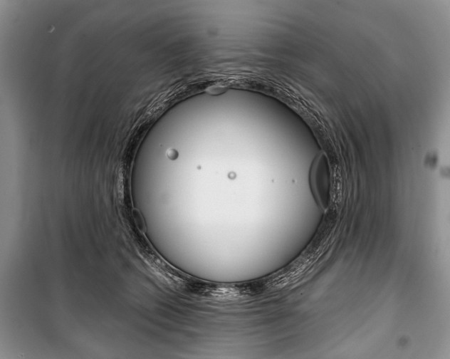 X0000101100562200806261047