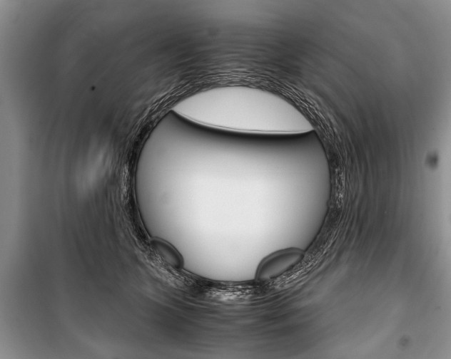 X0000101100563200806261047