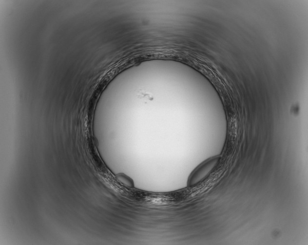 X0000101100564200806261047