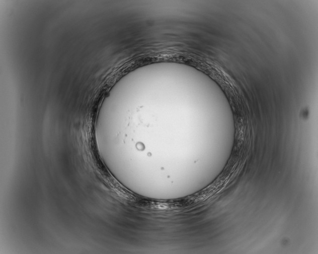 X0000101100565200806261047