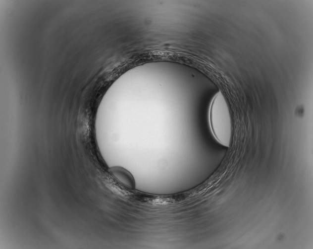 X0000101100566200806261047