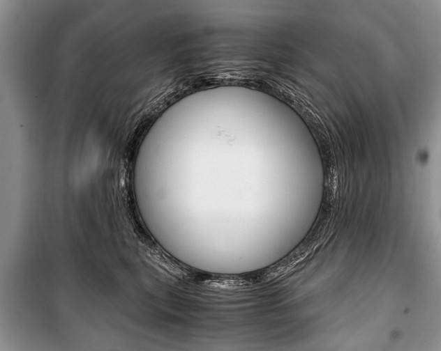 X0000101100567200806261047