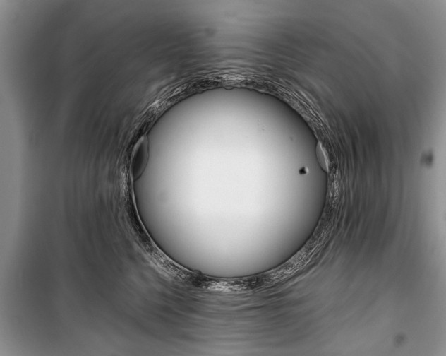 X0000101100568200806261047
