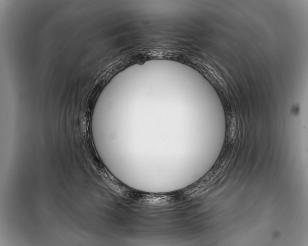 X0000101100569200806261047