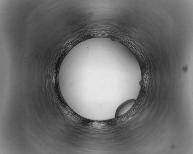 X0000101100570200806261047