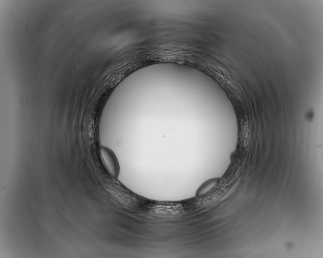 X0000101100571200806261047