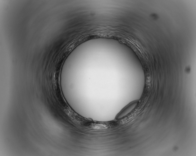 X0000101100572200806261047