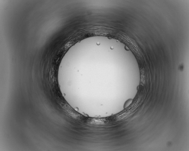 X0000101100573200806261047