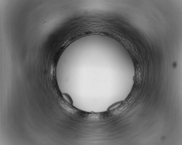 X0000101100574200806261047