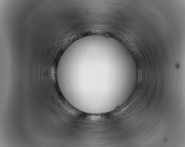 X0000101100575200806261047