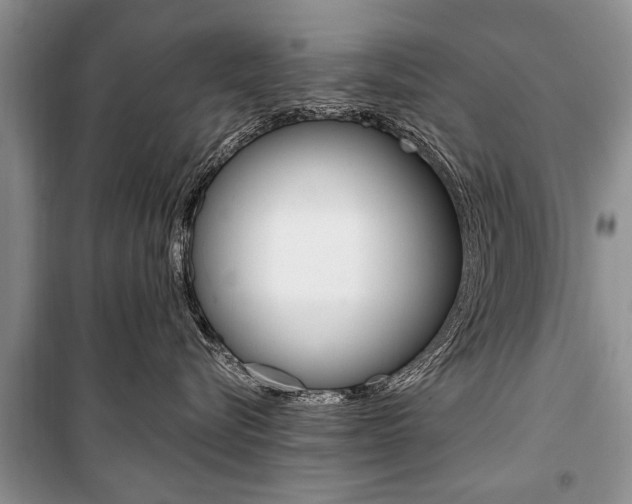 X0000101100576200806261047