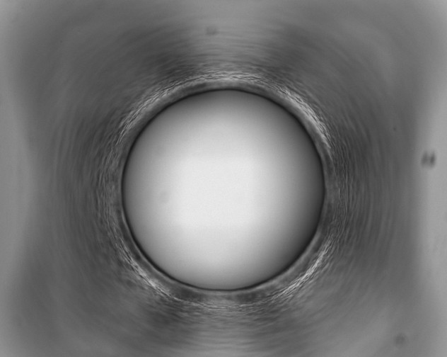 X0000101100577200806261047