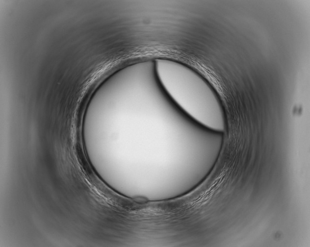 X0000101100578200806261047