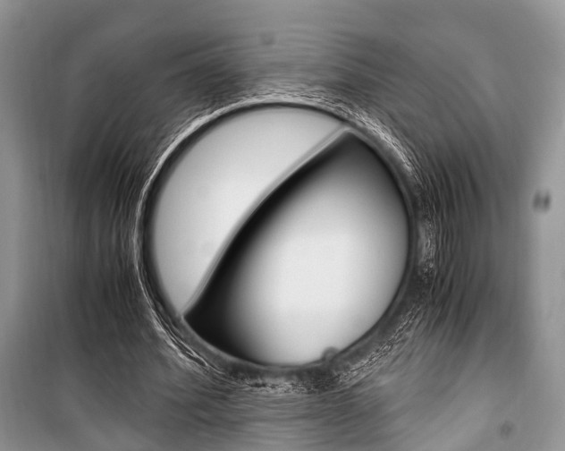 X0000101100580200806261047